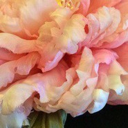 ������� mishk1na