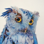 ������� glaD_is