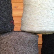 ������� ����� 191