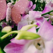 ������� slimthingkate