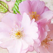 ������� Tatiana_siv