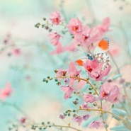 ������� ok_oksanaivanova