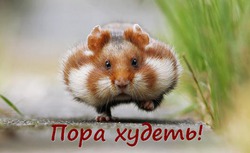 ���������! �����-���������� "���������������".