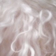 ������� p aleksa 2018