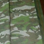 ������� kvashinaolyan