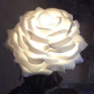 ������� elenat0772