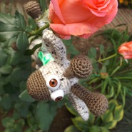 ������� Helgaria