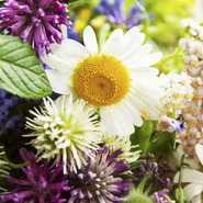 ������� ��������1