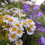 ������� likholetova86