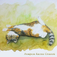 ������� Kassia-S