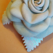 ������� liasis