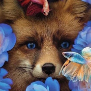 ������� olga ivleva1984