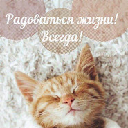 ������� 89643311331