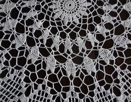 �������� " �����������-����������" ������ ������ �� �����