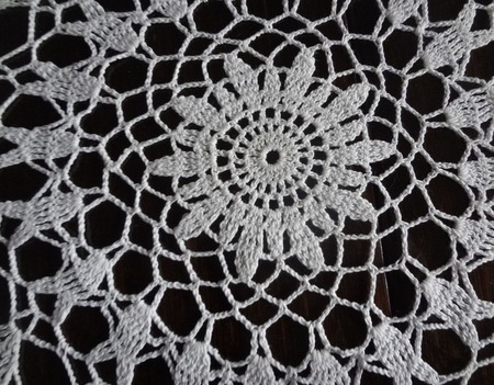 �������� " �����������-����������" ������ ������ �� �����