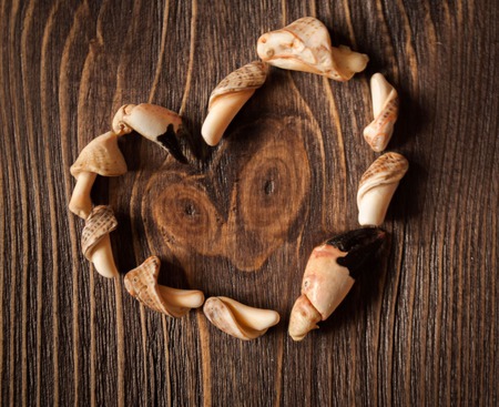 ���������� ������� ������ ������ �� �����