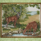 ����� �� �������