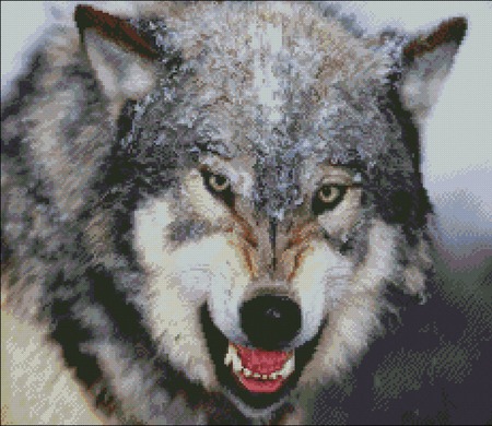 ����� ������� "����" ������ ������ �� �����