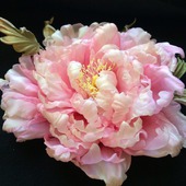 ����: ����