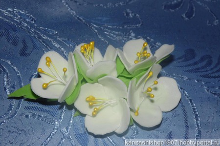 ��������� �������� ������ ������ �� �����