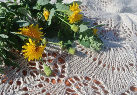 ������� �������� ������� "����" ������ ������ �� �����