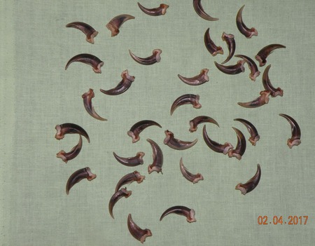 ������ ���� ������ ������ �� �����