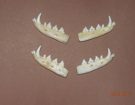 ��� ���� ������ ������ �� �����