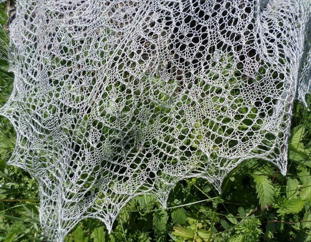 �������� � ����� � ���� "�������� ������� ����" ������ ������ �� �����