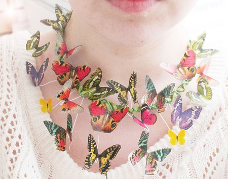 �������� ��������� "Summerfly" �����,������� ,����� ������ ������ �� �����