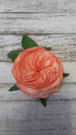 ����� � ����������� ����� ������ ������ �� �����