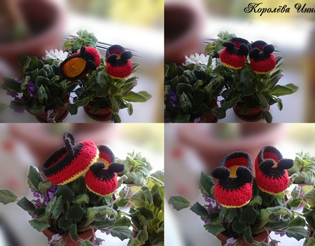 ������� "�����" ������ ������ �� �����