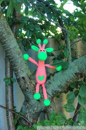 ������ ������ ������ �� �����