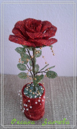 ���� ������ ������ �� �����