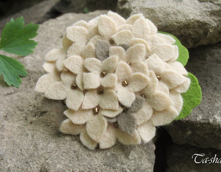 ����� ������ "��������� ��������" ������� ����� ������ ������ �� �����