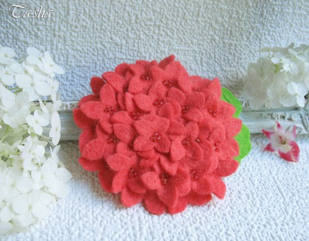 ����� ������ "��������� ����������" ������ ������ �� �����