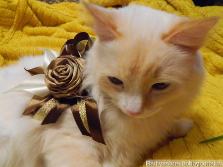 �����-���� "���� � �������" ������ ������ �� �����