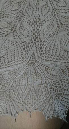 ���� �������� ������ ������ �� �����