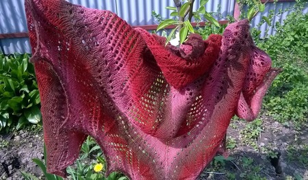 ���� "���� � �������� �����" ������ ������ �� �����