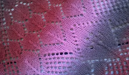 ���� "���� � �������� �����" ������ ������ �� �����