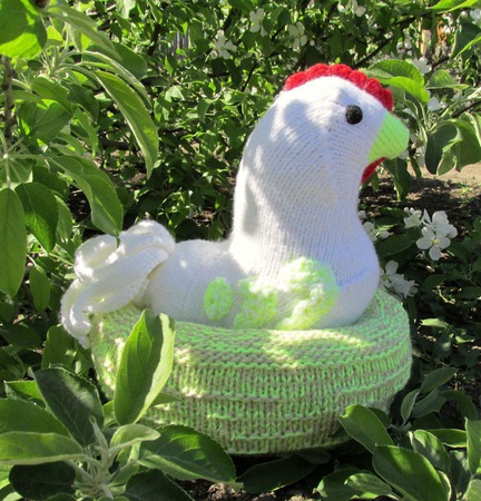 ������ ���� 2017 ���� ������� ������ ���������, ������ ��� ��� ������ ������ �� �����