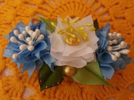 �������-������� "��������" ������ ������ �� �����