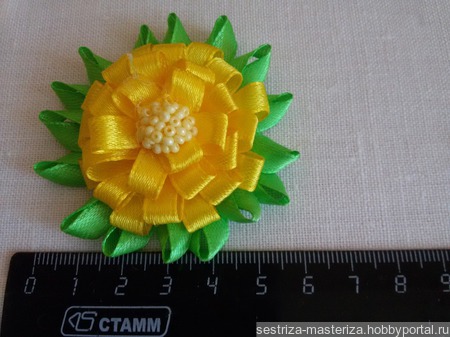 ������� ��� ����� "���������" ������ ������ �� �����