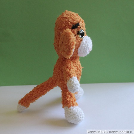 ��������� ������ ������ ������ �� �����