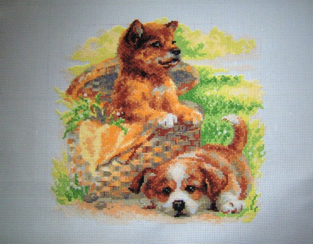 ������ ������� ������ ������ �� �����