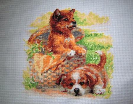 ������ ������� ������ ������ �� �����