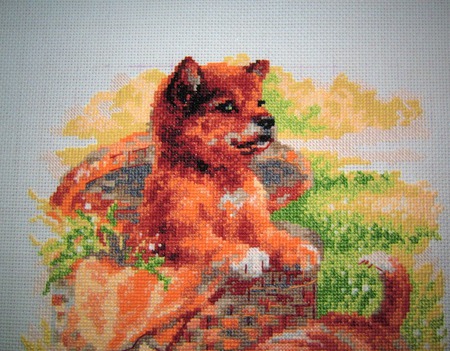 ������ ������� ������ ������ �� �����