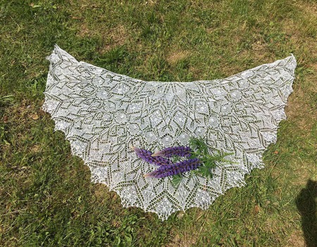 ���� ������� ������ - ��������� ������ ������ ������ �� �����