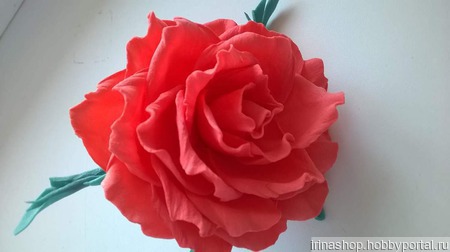 ������� ��� ����� "����" ������ ������ �� �����