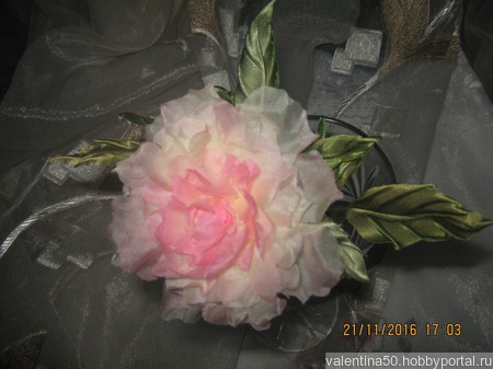 ���� ������ ������ �� �����