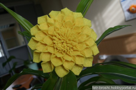 ����� ������� ������ ������ �� �����